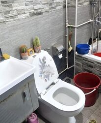 The Sunflower (D14), Apartment #632992081